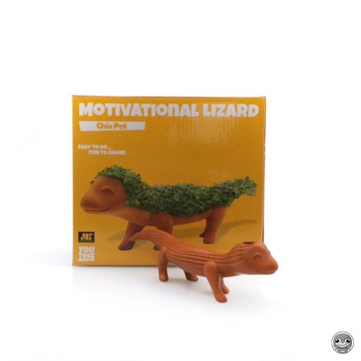 Motivational Lizard Youtooz (Chia Pet)