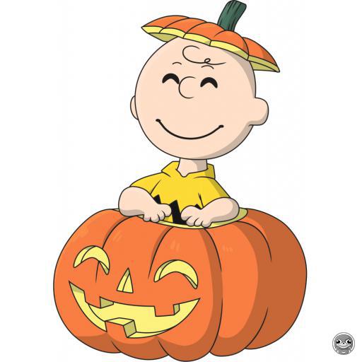 Youtooz Peanuts Pumpkin Patch Charlie Brown